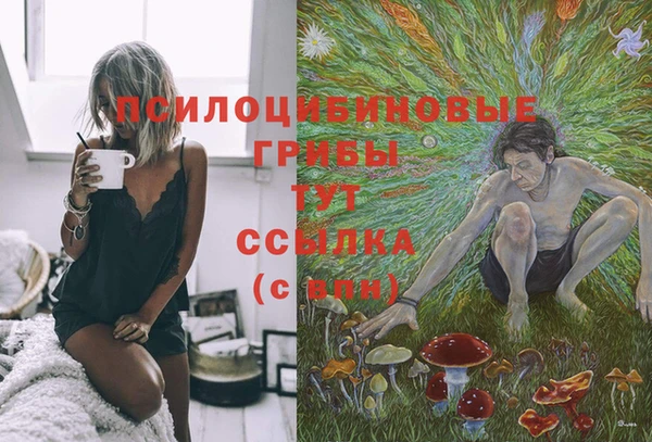дурь Заволжье